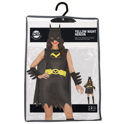 Women's Night Superhero Costume