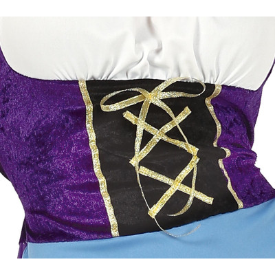 Women's Swan Costume