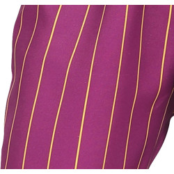 Crazy Jester Costume for Boys