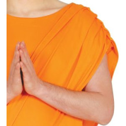 Jänes Krishna meeste kostüüm