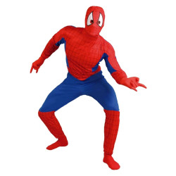 Superhero costume for men