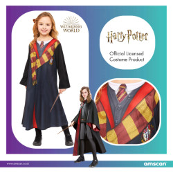 Harry Potter costume for girls – Hermione carnival costume