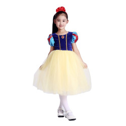 Enchanting Princess Dresses for Little Girls