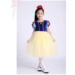 Enchanting Princess Dresses for Little Girls