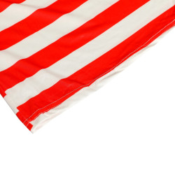 Stiilne Wally kostüüm naistele: paistke silma triipudega!