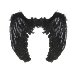 Enchanting Dark Angel Costume for Women
