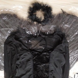 Enchanting Dark Angel Costume for Women