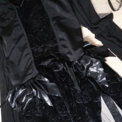 Enchanting Dark Angel Costume for Women