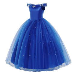 Enchanting Royal Blue Princess Dress for Girls