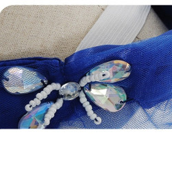 Lummav kuninglikult sinine printsessi kleit tüdrukutele