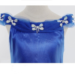Enchanting Royal Blue Princess Dress for Girls