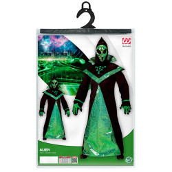 Täiskasvanute Ateivio kostüüm