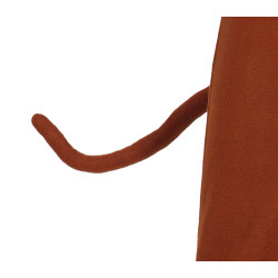 Ahv kostüüm lastele