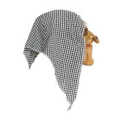 Lateksist nõiakostüümi mask kapuutsiga