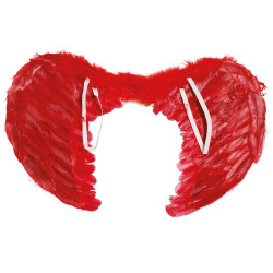 Red Feather Wings, 60x50 cm