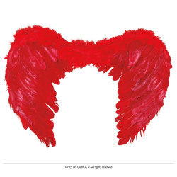 Red Feather Wings, 60x50 cm