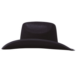 Black Velvet Hat