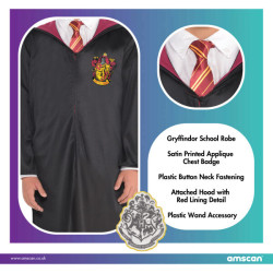 Harry Potter Costume for Adults