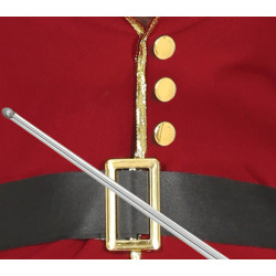 Women's Pirate Ship Captain Costume