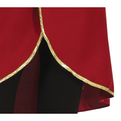 Women's Pirate Ship Captain Costume