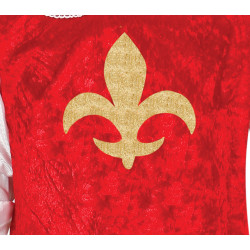 Poisile mõeldud musketäri kostüüm